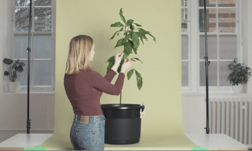 Art & Life –&nbsp;Video