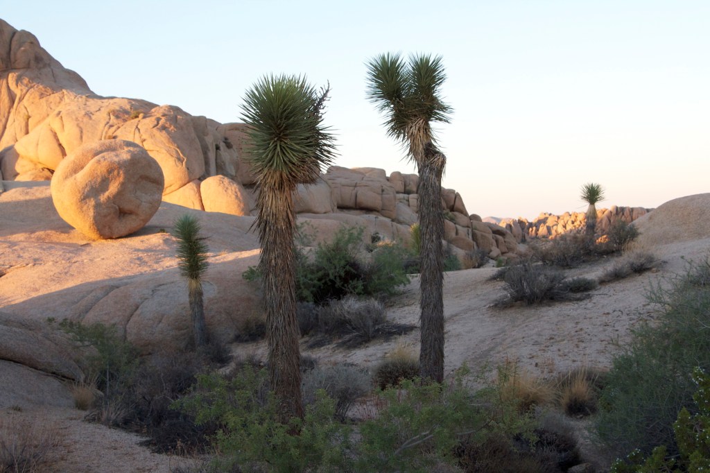 Tracking Shot: Why We&nbsp;Wait