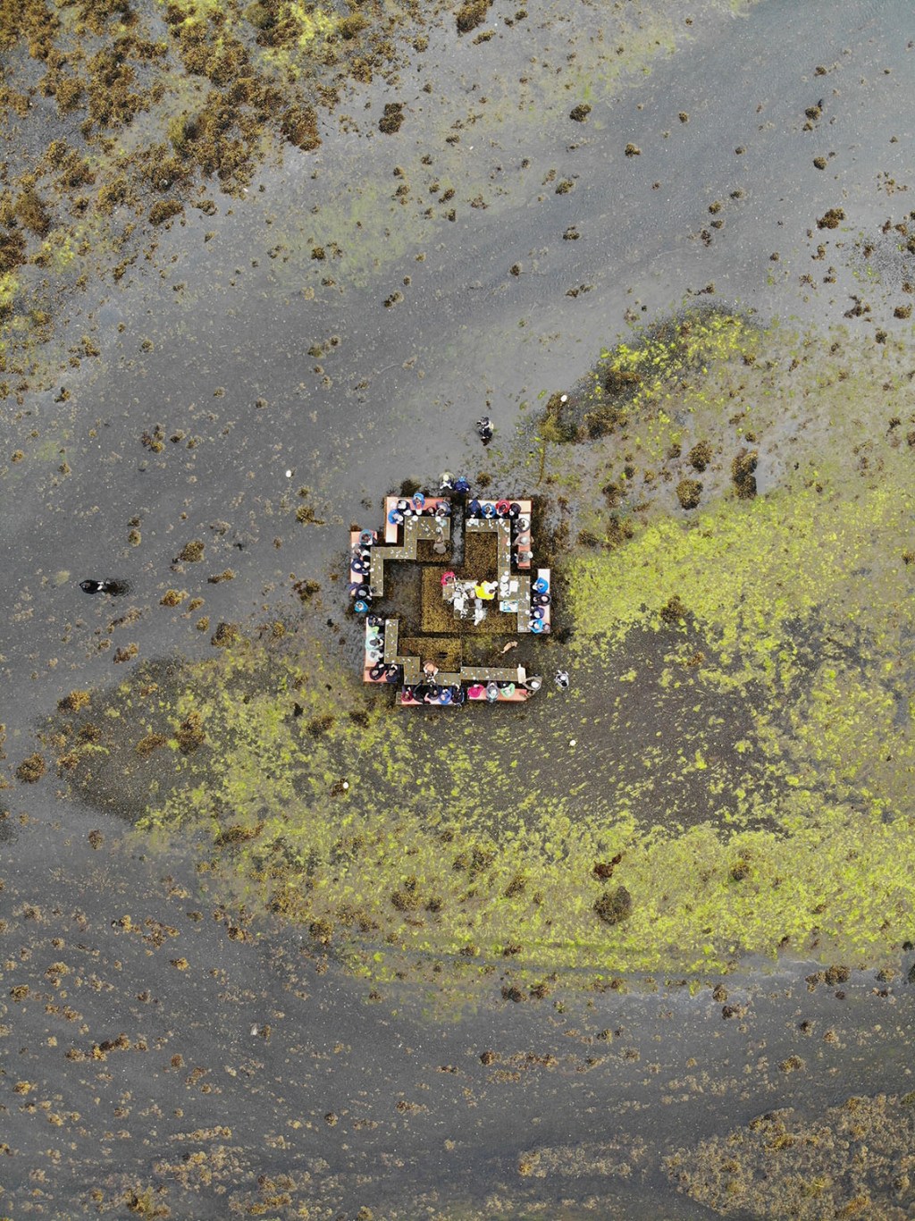 Cooking Sections: Eating for the&nbsp;Planet