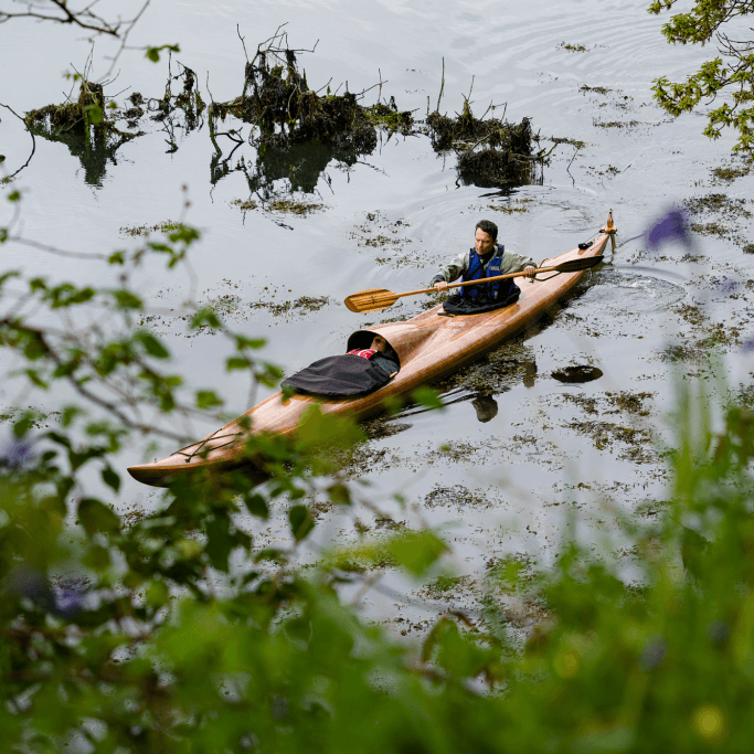 Adam Chodzko – A Wild&nbsp;Seen